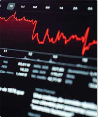 Investment/Consulting